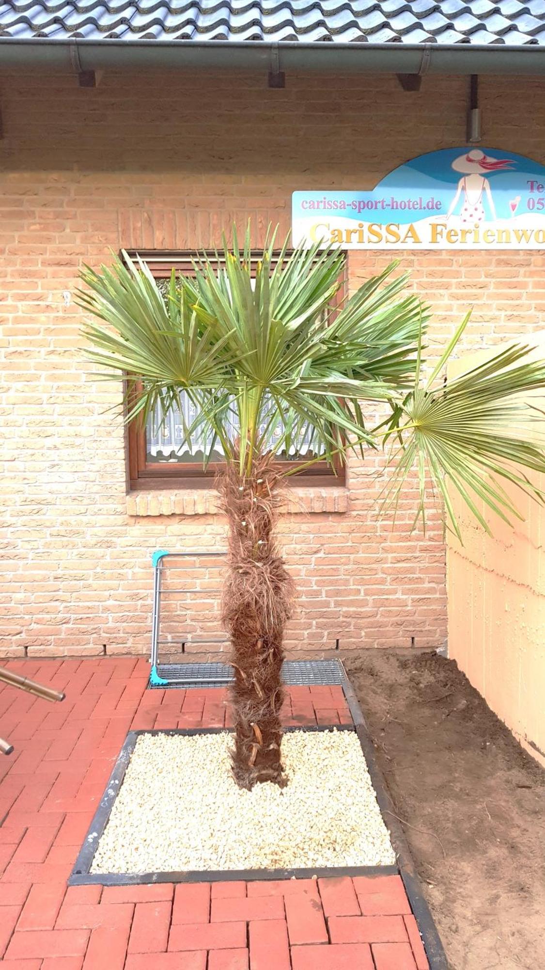 Carissa Ferienwohnung - Mit Thermeplus Бад-Бефензен Екстер'єр фото